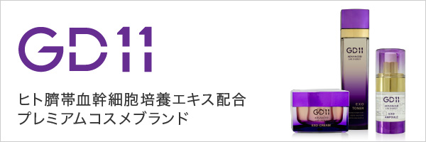 GD11 ジーディーイレブン